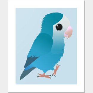 Cute blue peach faced lovebird Posters and Art